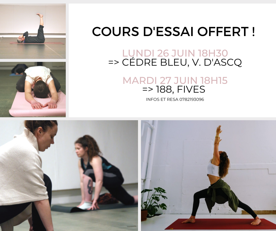 Yoga Essentiel - Cours à Lille Villeneuve d'Ascq Roubaix