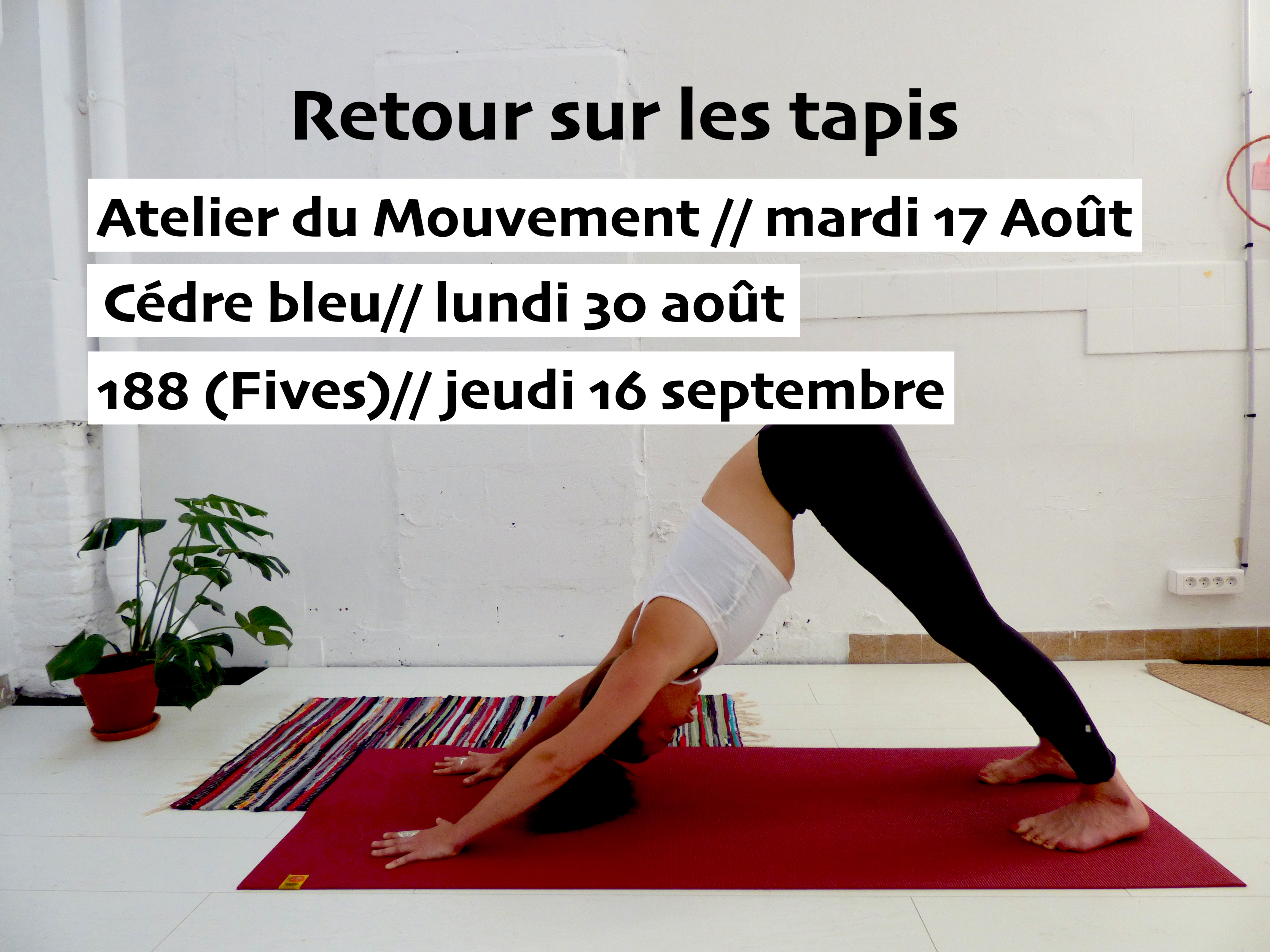 Yoga Essentiel - Cours à Lille Villeneuve d'Ascq Roubaix